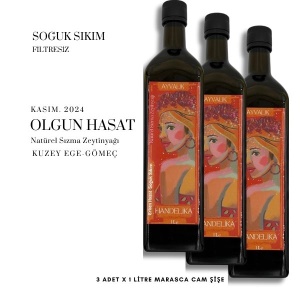 handelika-naturel-sizma-zeytinyagi-soguk-sikim-erken-hasat-2024-(3-adet-x-1.0-litre)