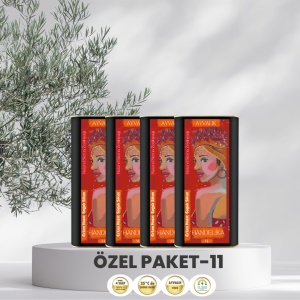 handelika-naturel-sizma-zeytinyagi-soguk-sikim-erken-hasat-2024-(4-adet-x-5.0-litre)