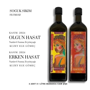 handelika-naturel-sizma-zeytinyagi-soguk-sikim-erken-olgun-hasat-2024-(2-adet-x-2.0-litre)